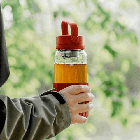 Buydeem Glass Tea Bottle with Infuser 400ml & 600ml Buydeem Glass Tea Bottle with Infuser 400ml & 600ml