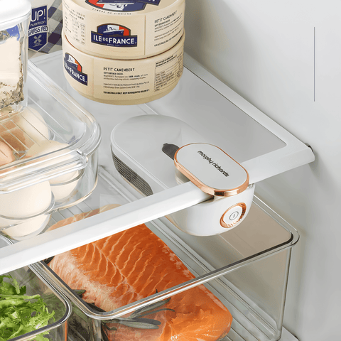 Fridge odor remover Fridge odor remover