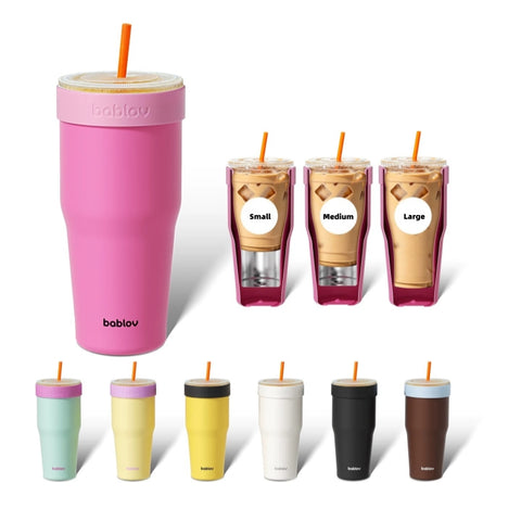 BABLOV 880ml Insulated Tumbler with Straw