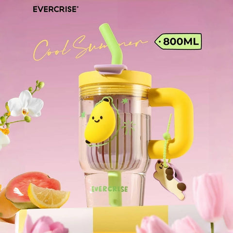 EVERCRISE 800ML Tritan Tumbler with Tea Infuser and Wide Straw