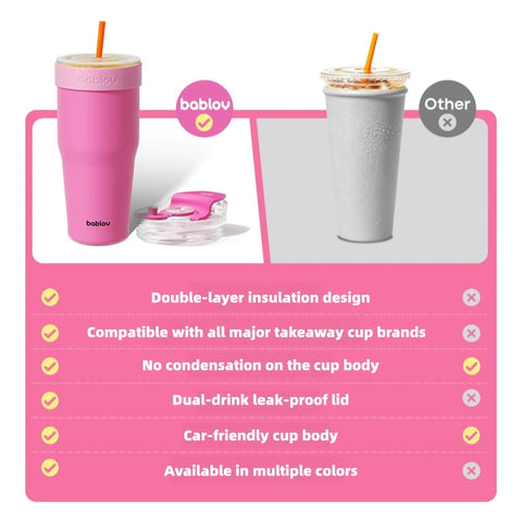 BABLOV 880ml Insulated Tumbler with Straw