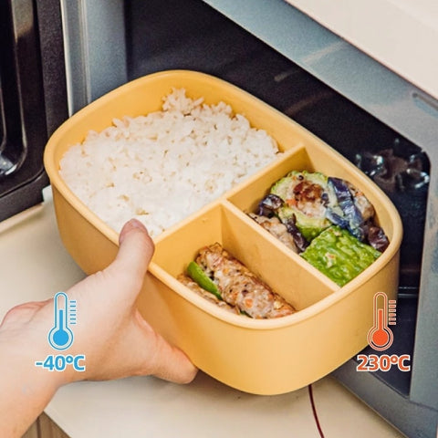 SHUEHO Silicone Bento Box - Leakproof, Microwave & Freezer Safe
