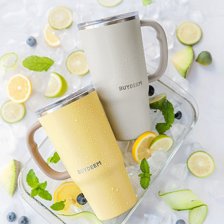 BUYDEEM Jumbo Insulated Tumbler with Handle and Straw 750ml - Stay Cool and Refreshed