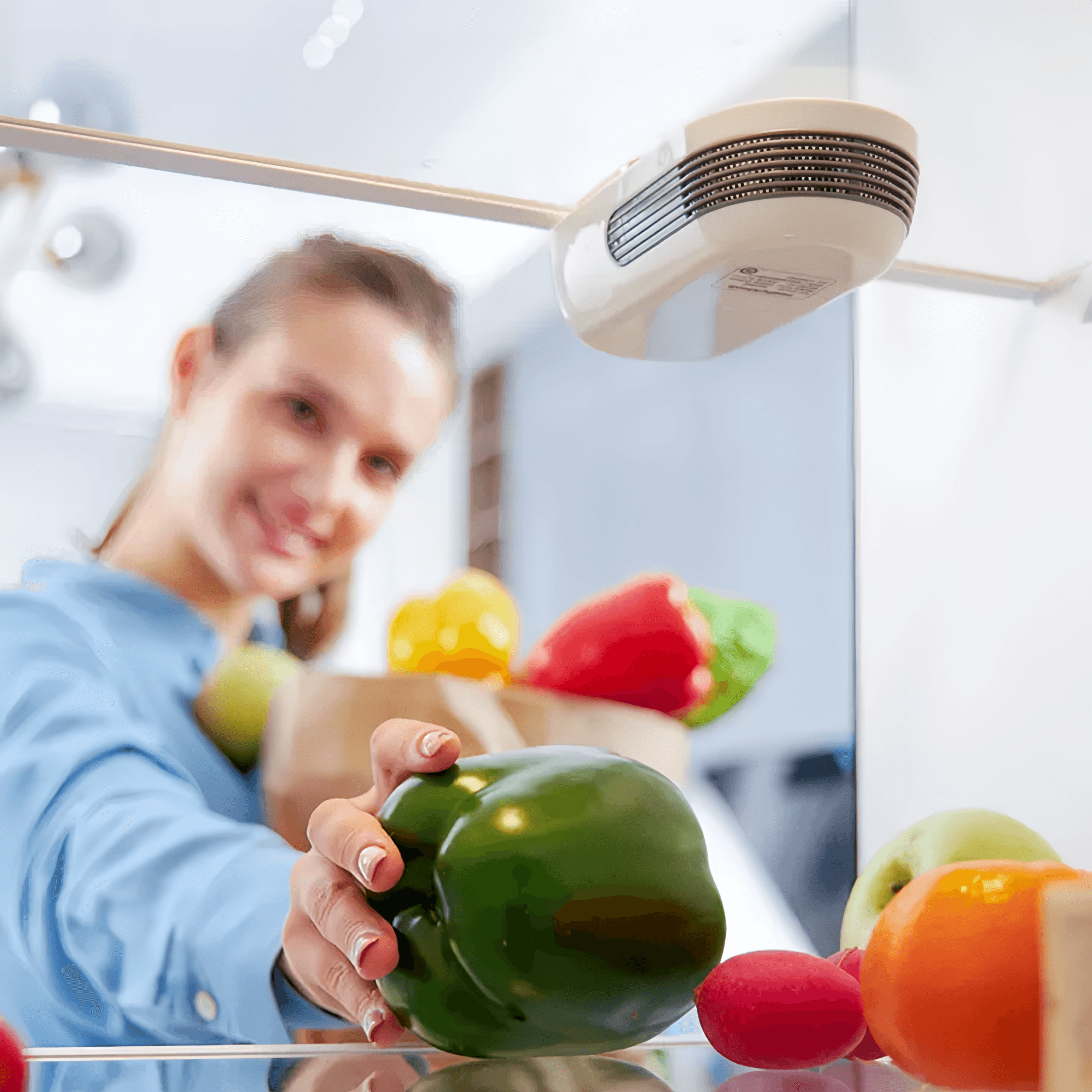 Refrigerator deodorizer