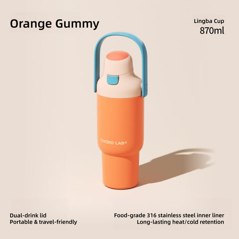 CHAKOLAB Linba Cup 870ml Insulated Straw Tumbler with Carry Handle