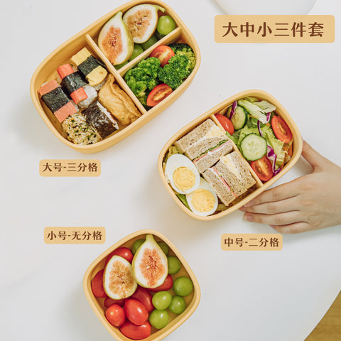 SHUEHO Silicone Bento Box - Leakproof, Microwave & Freezer Safe (-40°C~230°C), 3 Sizes (550ml/750ml/1200ml)