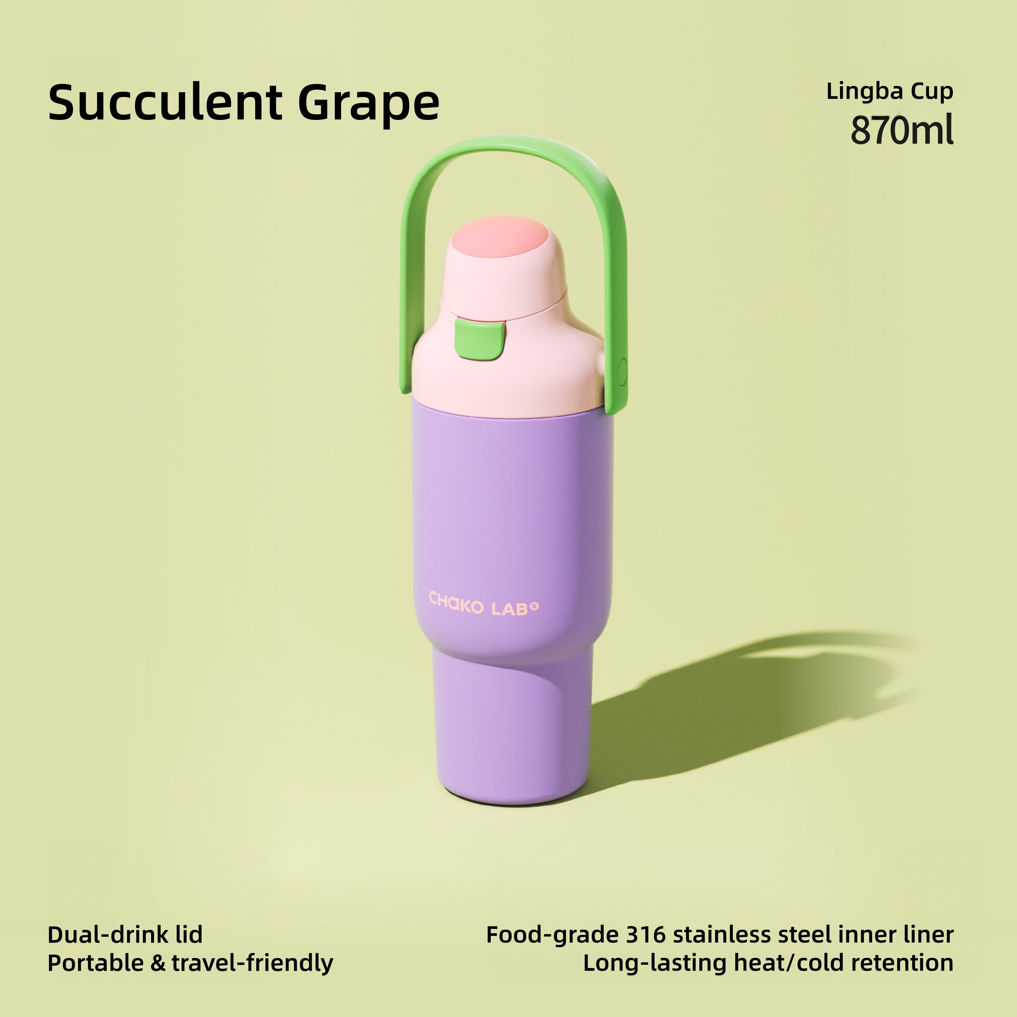CHAKOLAB Linba Cup 870ml Insulated Straw Tumbler with Carry Handle