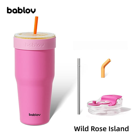 BABLOV 880ml Insulated Tumbler with Straw, Leakproof 304 Stainless Steel Travel Mug, Fits Cup Holders, Car Cup Holder Friendly, Go-Pal Series.